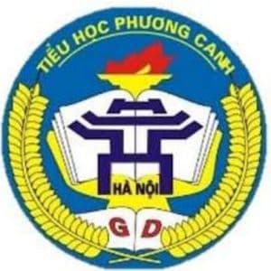 Trường liên kết 7