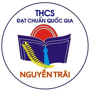 Trường liên kết 19